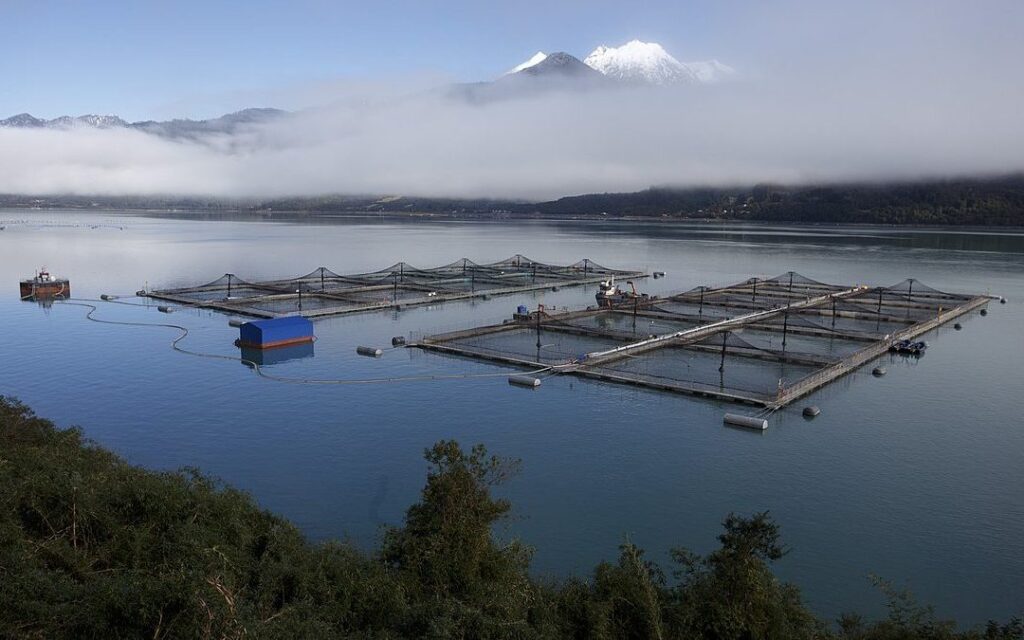 Foto Web Salvemos la Patagonia