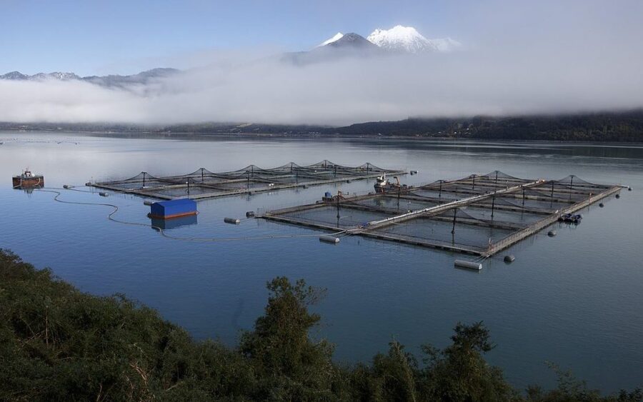 Foto Web Salvemos la Patagonia